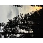 ZDJĘCIA Z TEGO TELEFONU