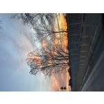 ZDJĘCIA Z TEGO TELEFONU