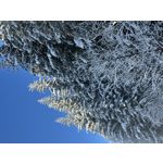 ZDJĘCIA Z TEGO TELEFONU