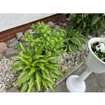 Zdjęcia użytkowników Apple iPhone 14 Pro