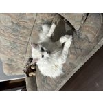 ZDJĘCIA Z TEGO TELEFONU