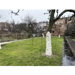 Zdjęcia użytkowników Apple iPhone 14