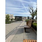 ZDJĘCIA Z TEGO TELEFONU