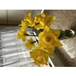 Zdjęcia użytkowników Apple iPhone 14