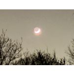 Zdjęcia użytkowników Apple iPhone 15