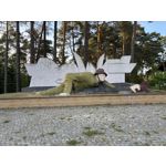 ZDJĘCIA Z TEGO TELEFONU