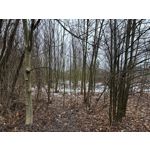 Zdjęcia użytkowników Apple iPhone 15