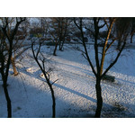 ZDJĘCIA Z TEGO TELEFONU