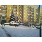 Zdjęcia użytkowników Apple iPhone 3G S 16GB