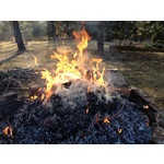 Zdjęcia użytkowników Apple iPhone 4S 16GB