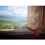 Zdjęcia użytkowników Apple iPhone 5