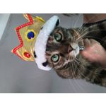 Zdjęcia użytkowników Apple iPhone 6s Zdjęcia użytkowników Apple iPhone 6s