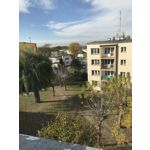 Zdjęcia użytkowników Apple iPhone 7 Plus