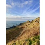 Zdjęcia użytkowników Apple iPhone 7 Plus