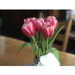 Zdjęcia użytkowników Apple iPhone 7 Plus