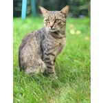 Zdjęcia użytkowników Apple iPhone 7 Plus