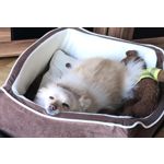 Zdjęcia użytkowników Apple iPhone 7 Plus