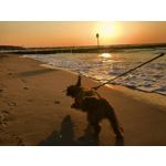 Zdjęcia użytkowników Apple iPhone 7 Plus