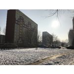 Zdjęcia użytkowników Apple iPhone 7