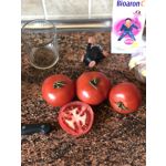 ZDJĘCIA Z TEGO TELEFONU