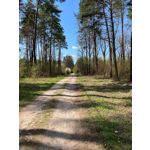 Zdjęcia użytkowników Apple iPhone SE 2022