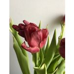 Zdjęcia użytkowników Apple iPhone X