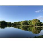 ZDJĘCIA Z TEGO TELEFONU