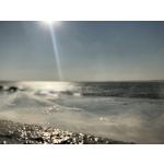 Zdjęcia użytkowników Apple iPhone X