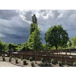 ZDJĘCIA Z TEGO TELEFONU