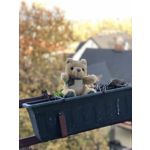 Zdjęcia użytkowników Apple iPhone X