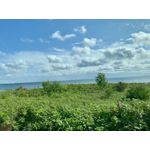 ZDJĘCIA Z TEGO TELEFONU