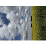 Zdjęcia użytkowników Apple iPhone 16 Pro