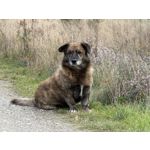 ZDJĘCIA Z TEGO TELEFONU