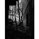 ZDJĘCIA Z TEGO TELEFONU