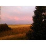 ZDJĘCIA Z TEGO TELEFONU