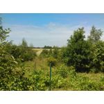 ZDJĘCIA Z TEGO TELEFONU