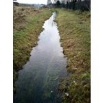 Zdjęcia użytkowników Archos 50 Saphir