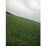 ZDJĘCIA Z TEGO TELEFONU