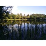 ZDJĘCIA Z TEGO TELEFONU