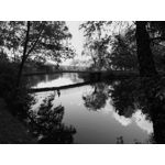 ZDJĘCIA Z TEGO TELEFONU