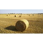 Zdjęcia użytkowników Archos Diamond Alpha Zdjęcia użytkowników Archos Diamond Alpha