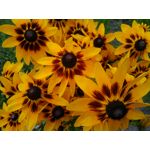 Zdjęcia użytkowników Archos Diamond Alpha Zdjęcia użytkowników Archos Diamond Alpha