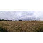 Zdjęcia użytkowników Archos Diamond Alpha Zdjęcia użytkowników Archos Diamond Alpha