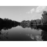 ZDJĘCIA Z TEGO TELEFONU