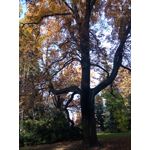 Zdjęcia użytkowników Archos Sense 50X