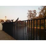 Zdjęcia użytkowników Archos Sense 50X