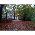 Zdjęcia użytkowników Archos Sense 50X