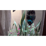 Zdjęcia użytkowników Asus Fonepad 7 Dual SIM