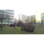 Zdjęcia użytkowników Asus Fonepad 7 Dual SIM