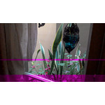 Zdjęcia użytkowników Asus Fonepad 7 Dual SIM